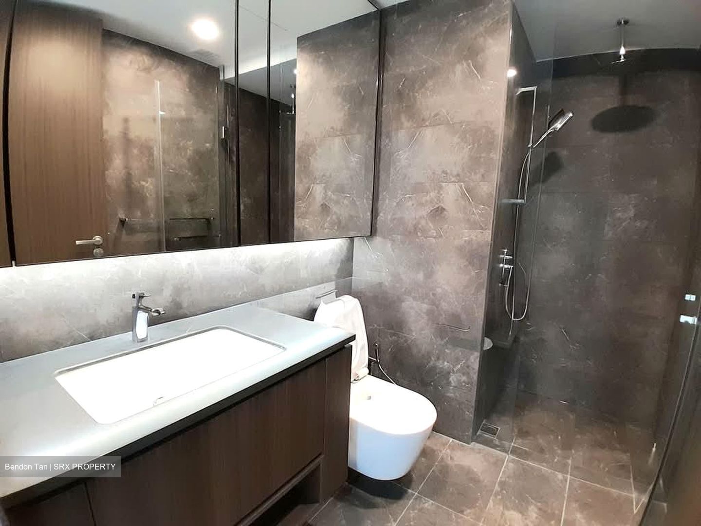 Kopar At Newton (D9), Apartment #573006911